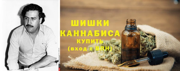 стаф Вяземский