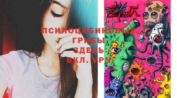 МДПВ Вязьма
