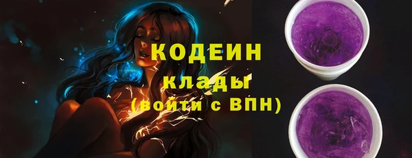 стаф Вяземский