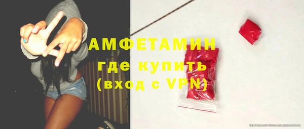 стаф Вяземский