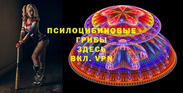 стаф Вяземский