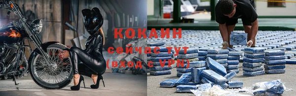 стаф Вяземский