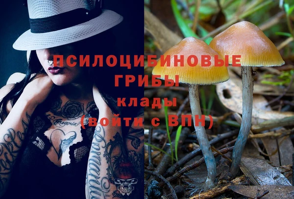 МДПВ Вязьма