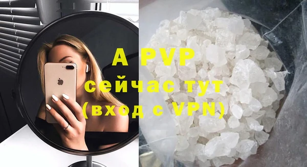 стаф Вяземский